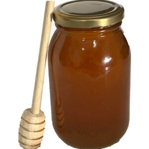 Miel Pura De Abejas Cruda 700 Gramos 100% Natural de Buesaco Nariño