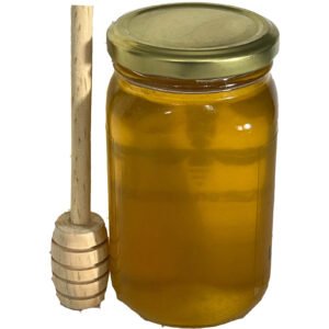 Miel Pura De Abejas Cruda 500 Gramos 100% Natural del Paramo de Nariño